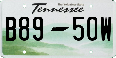 TN license plate B8950W