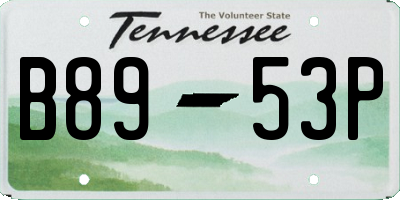TN license plate B8953P
