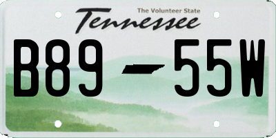 TN license plate B8955W