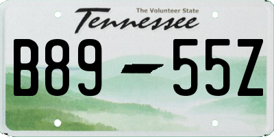 TN license plate B8955Z