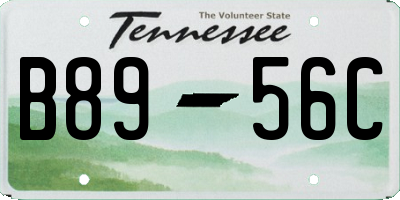 TN license plate B8956C