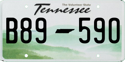 TN license plate B8959O