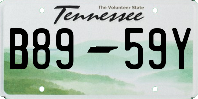 TN license plate B8959Y