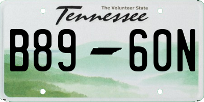 TN license plate B8960N