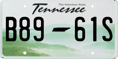 TN license plate B8961S