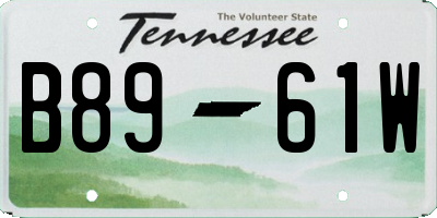 TN license plate B8961W