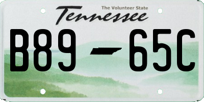 TN license plate B8965C