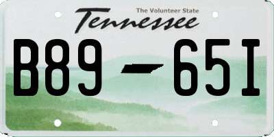 TN license plate B8965I