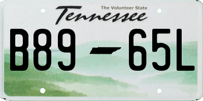 TN license plate B8965L