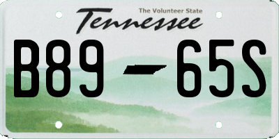 TN license plate B8965S