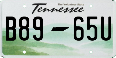 TN license plate B8965U