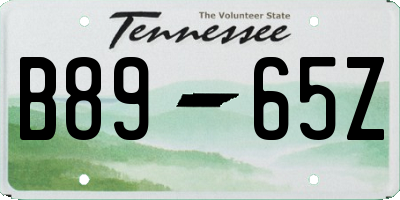 TN license plate B8965Z