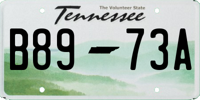 TN license plate B8973A
