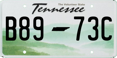 TN license plate B8973C