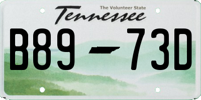 TN license plate B8973D