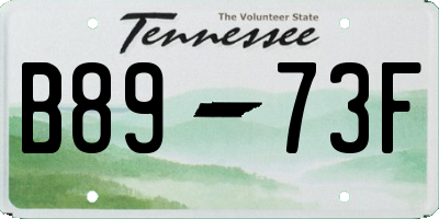 TN license plate B8973F