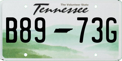 TN license plate B8973G