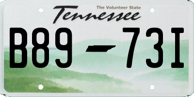 TN license plate B8973I