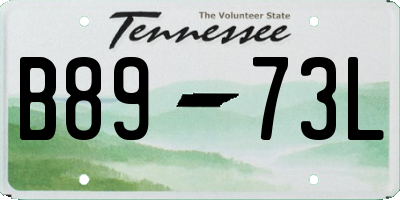TN license plate B8973L
