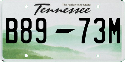 TN license plate B8973M