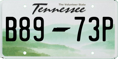 TN license plate B8973P