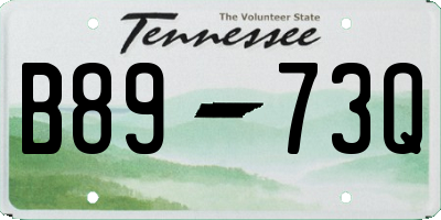 TN license plate B8973Q