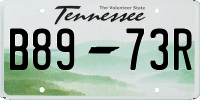 TN license plate B8973R