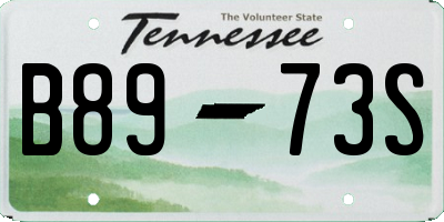 TN license plate B8973S
