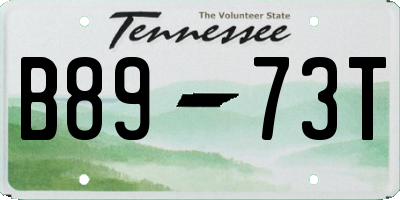 TN license plate B8973T
