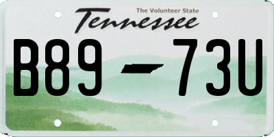 TN license plate B8973U