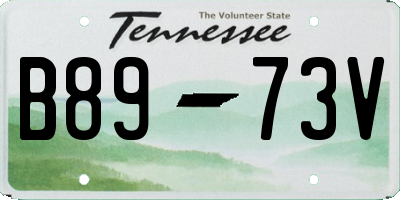 TN license plate B8973V