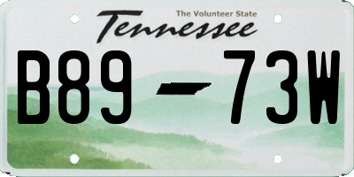 TN license plate B8973W