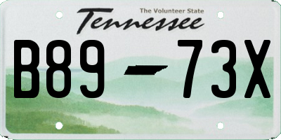 TN license plate B8973X