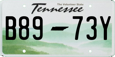 TN license plate B8973Y