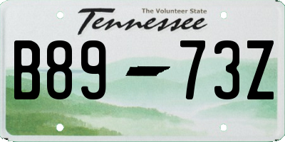 TN license plate B8973Z