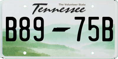 TN license plate B8975B