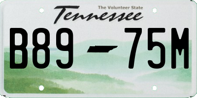 TN license plate B8975M