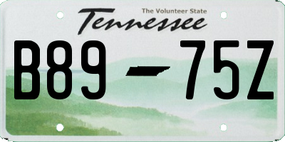 TN license plate B8975Z