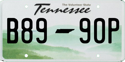 TN license plate B8990P