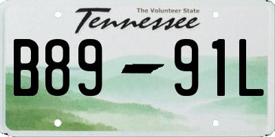 TN license plate B8991L