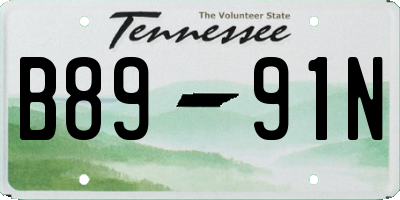 TN license plate B8991N
