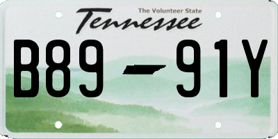 TN license plate B8991Y