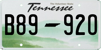 TN license plate B8992O