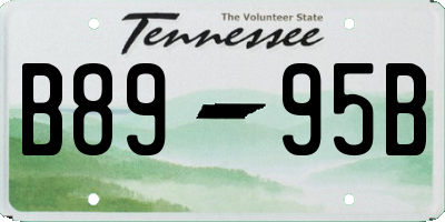 TN license plate B8995B