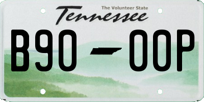 TN license plate B9000P