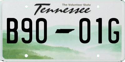TN license plate B9001G