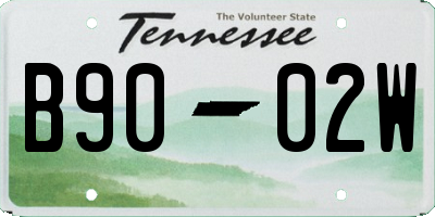 TN license plate B9002W