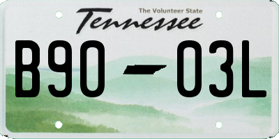 TN license plate B9003L