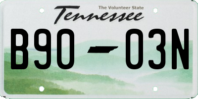 TN license plate B9003N