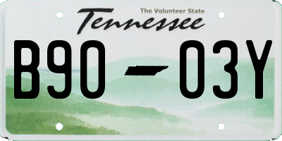 TN license plate B9003Y